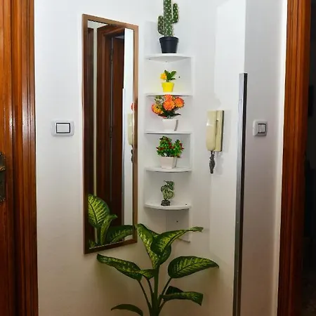 Amaryllis Bagheria